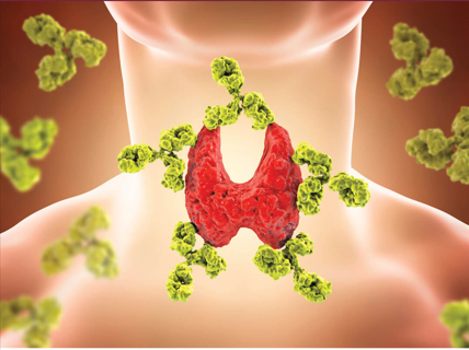 thyroid